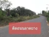 ขายที่ดิน เนื้อที่ 4ไร่ ติดถนนลาดยาง ใกล้นิคมฯเกตเวย์ ฟรีค่าโอน