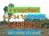 ขายที่ดินราคาถูกมาก 6 ไร่ครึ่ง โซนวัดสโมสร ตำบล ไทรใหญ่ อำเภอ ไทรน้อยนนทบุรี