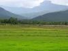 ขายที่ดินบ้านหลวงจอมทองวิวดอยอินทนนท์ วิวหัวเสือโฉนดพร้อมโอน