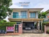 ขาย บ้านเดี่ยว The Plant Exclusique เดอะ แพลนท์ เอ็กซคลูซีค สรงประภา หลังมุม ตกแต่งพร้อมอยู่ 