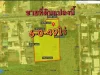 ขายที่ดิน 6ไร่ 49ตารางวา ถนนสุขุมวิท77 ถนนอ่อนนุช ซอยอ่อนนุช88 ประเวศ กรุงเทพๆ