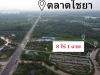 ขายที่ดินหน้าติดถนนหลังติดคลองอไชยา จสุราษฎร์ธานี