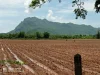 ขายที่ดินติดถนนสายเอเซีย วิวสวย อำเภอไทรโยค กาญจนบุรี