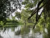 ที่ดินติดแม่น้ำเพชรบุรี ติดถนนคอนกรีต อยู่ในแหล่งความเจริญ