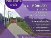 ขายที่ดิน ศรีราชาชลบุรีต หนองขาม 6-3-31 ไร่