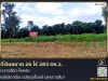 ที่ดินขนาด 26 ไร่ 283 ตรว ถราชสีมา-โชคชัย