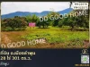 ที่ดิน อเมืองลำพูน 28 ไร่ 301 ตรว ลำพูน