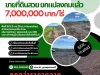 ขายที่ดินสวย ยกแปลงถมแล้ว ถูกกว่าราคาตลาด ขนาดพื้นที่ 10 ไร่